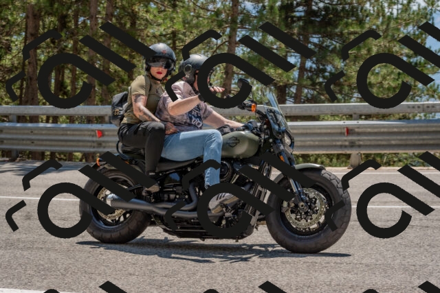 202508091350-DSC_3202_c4_