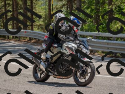 202508091351-DSC_3204_c4_