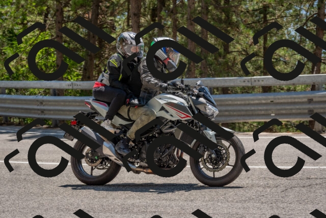 202508091351-DSC_3205_c4_