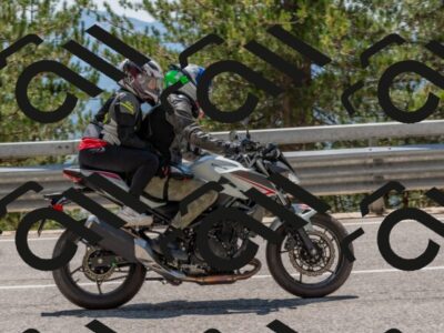 202508091351-DSC_3206_c4_