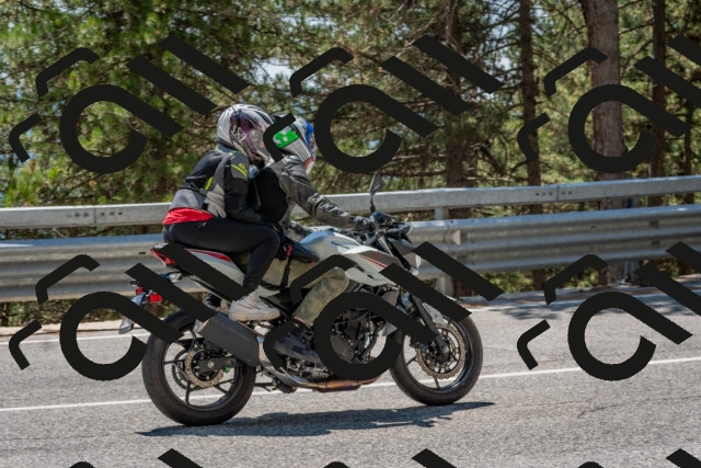 202508091351-DSC_3207_c4_