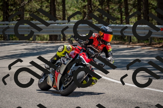 202508091351-DSC_3208_c4_