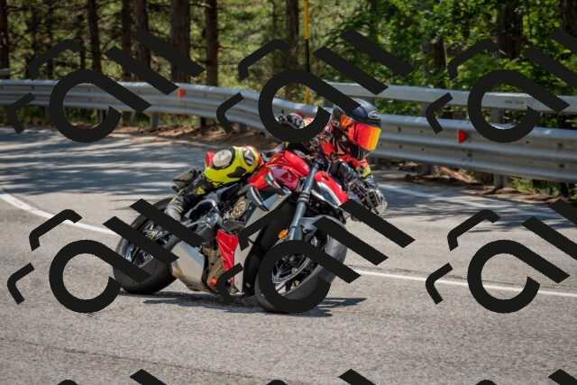 202508091351-DSC_3209_c4_