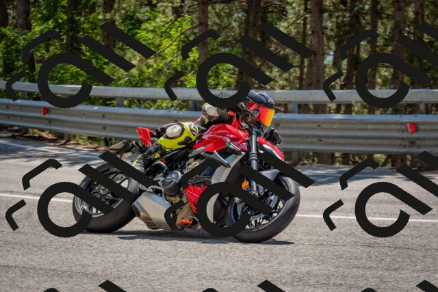 202508091351-DSC_3210_c4_