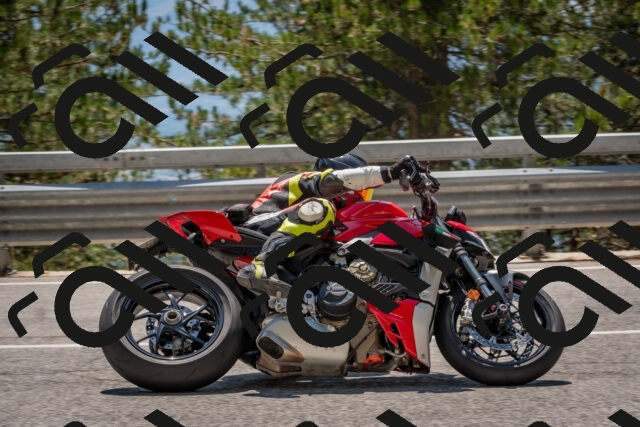 202508091351-DSC_3211_c4_