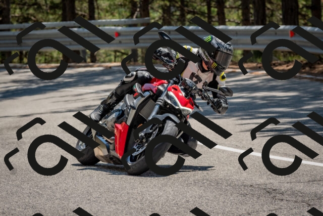 202508091351-DSC_3213_c4_