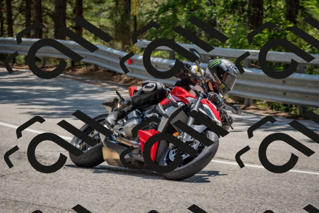 202508091351-DSC_3214_c4_