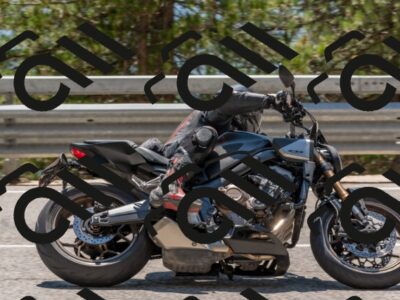 202508091351-DSC_3218_c4_