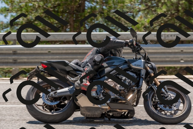 202508091351-DSC_3218_c4_