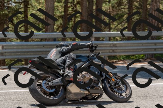 202508091351-DSC_3219_c4_