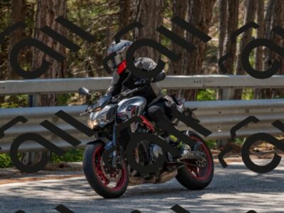 202508091352-DSC_3221_c4_