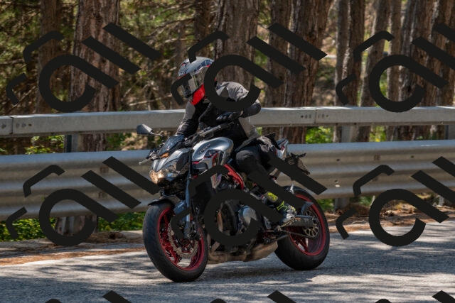 202508091352-DSC_3221_c4_