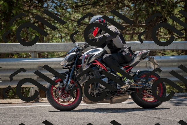 202508091352-DSC_3222_c4_