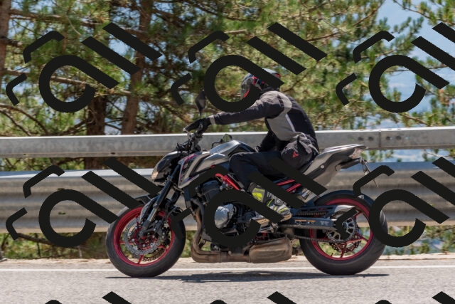 202508091352-DSC_3223_c4_