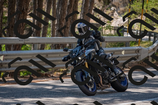 202508091352-DSC_3224_c4_