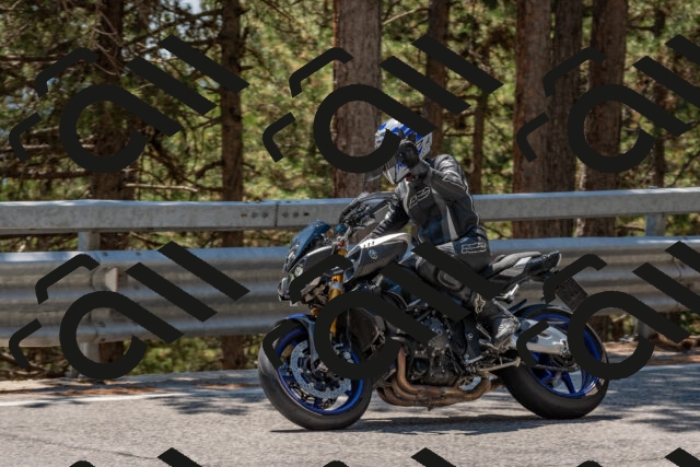 202508091352-DSC_3225_c4_