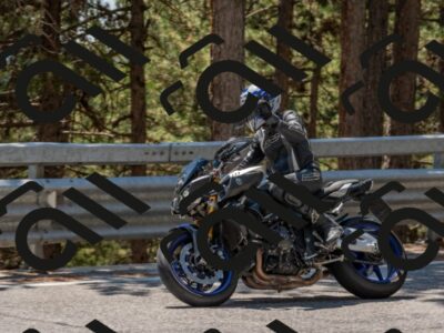 202508091352-DSC_3225_c4_