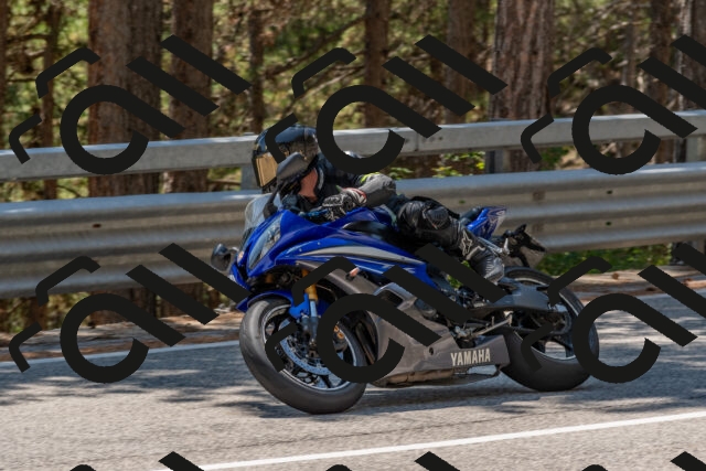 202508091354-DSC_3229_c4_