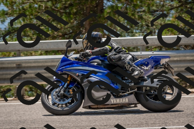 202508091354-DSC_3230_c4_