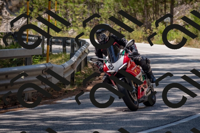 202508091354-DSC_3232_c4_