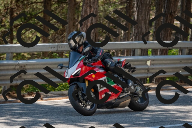 202508091354-DSC_3233_c4_