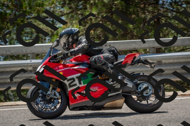 202508091354-DSC_3234_c4_