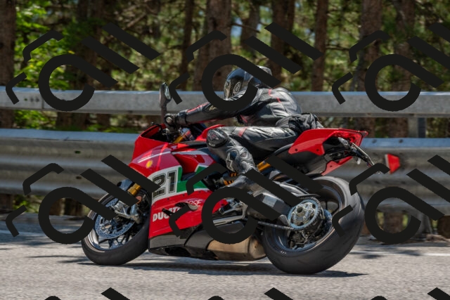 202508091354-DSC_3235_c4_