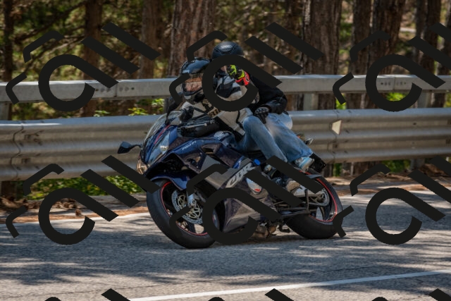 202508091357-DSC_3236_c4_