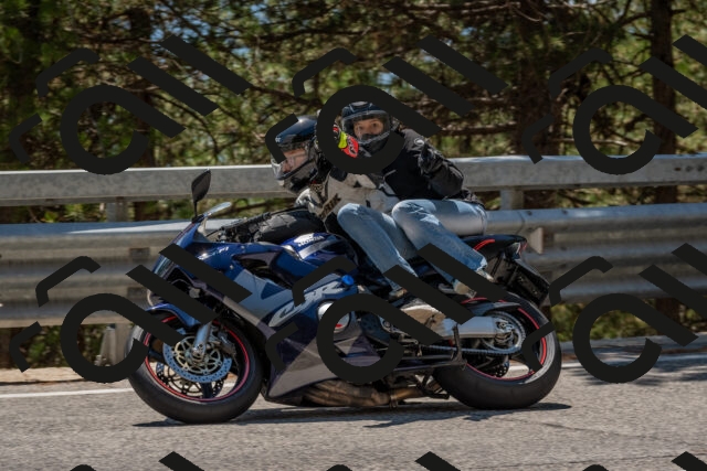 202508091357-DSC_3237_c4_