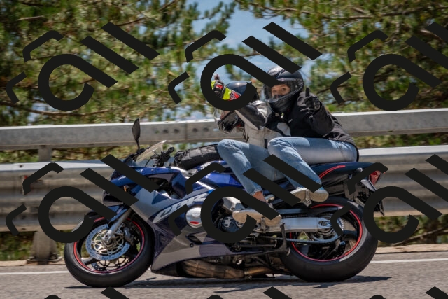 202508091357-DSC_3238_c4_