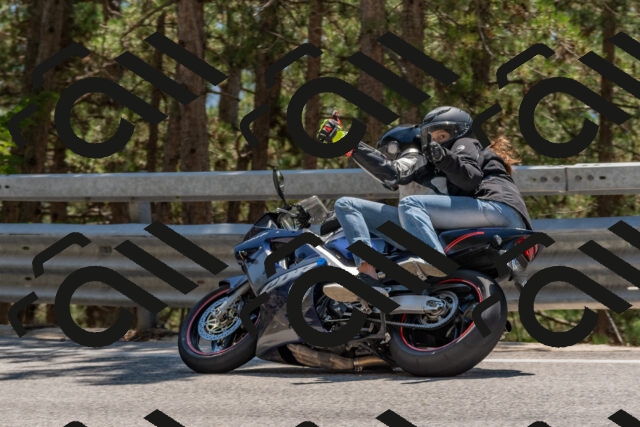 202508091357-DSC_3239_c4_