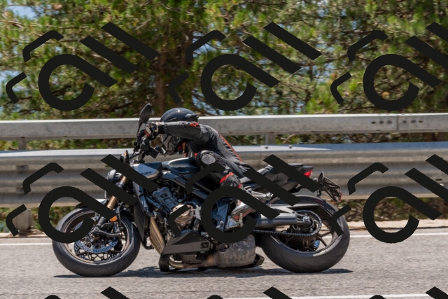 202508091358-DSC_3241_c4_