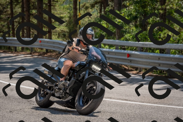 202508091400-DSC_3243_c4_