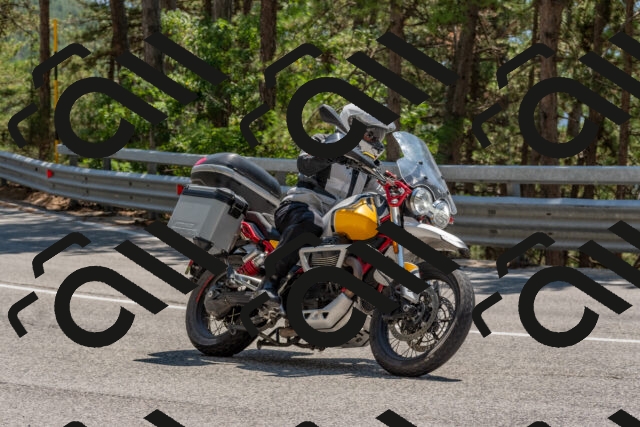 202508091400-DSC_3245_c4_