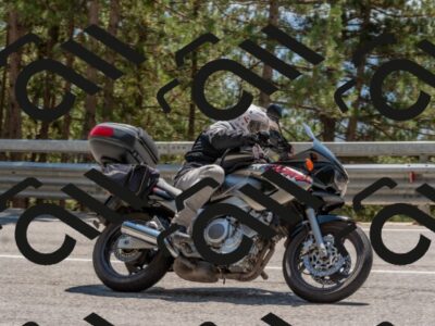 202508091400-DSC_3250_c4_