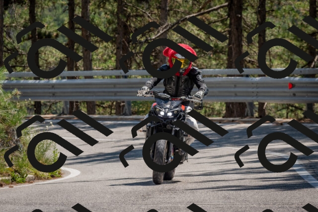 202508091401-DSC_3252_c4_