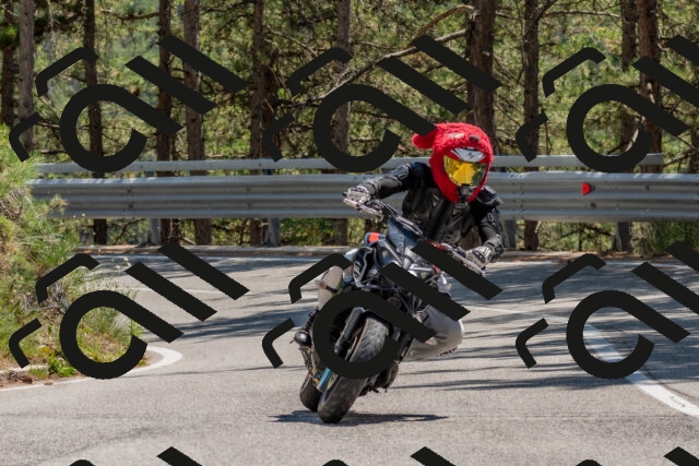 202508091401-DSC_3253_c4_