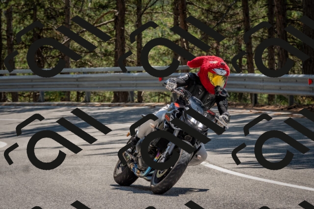 202508091401-DSC_3254_c4_