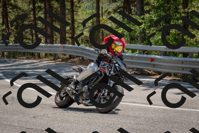 202508091401-DSC_3255_c4_