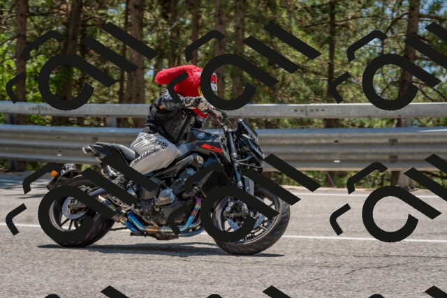 202508091401-DSC_3256_c4_