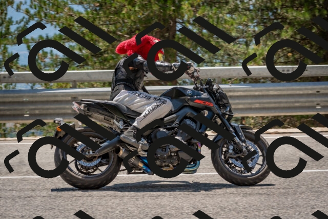 202508091401-DSC_3257_c4_