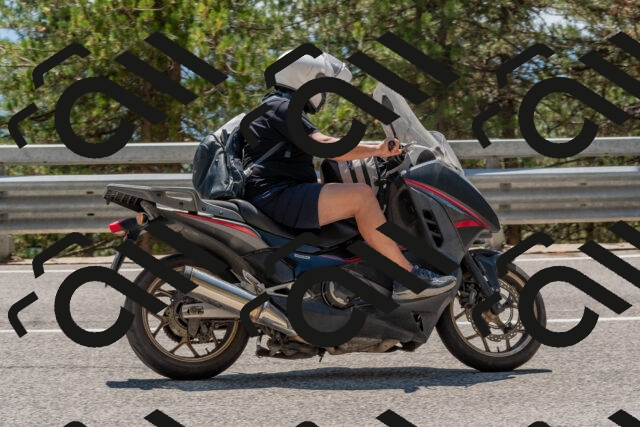 202508091403-DSC_3260_c4_