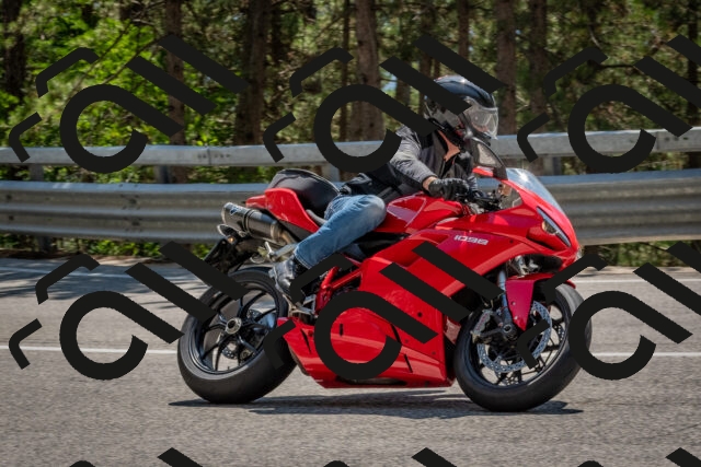 202508091403-DSC_3261_c4_