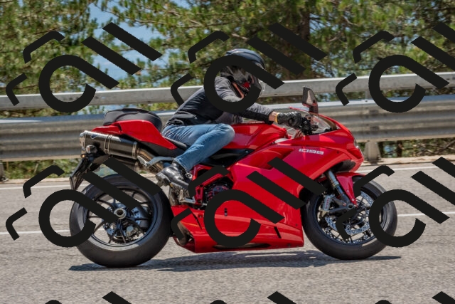 202508091403-DSC_3262_c4_