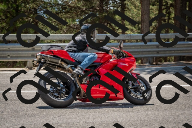 202508091403-DSC_3263_c4_