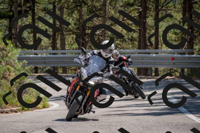 202508091404-DSC_3264_c4_