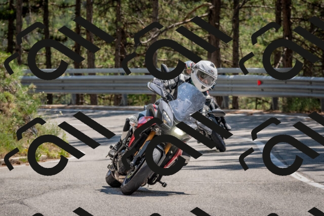 202508091404-DSC_3265_c4_