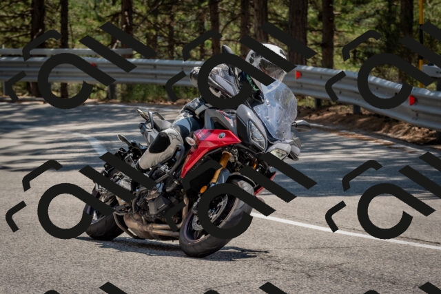 202508091404-DSC_3266_c4_