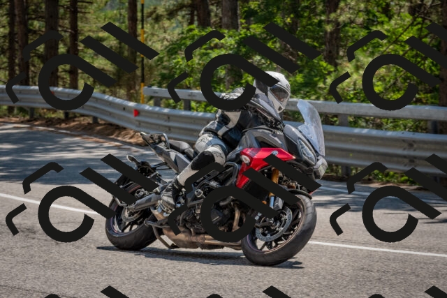 202508091404-DSC_3267_c4_