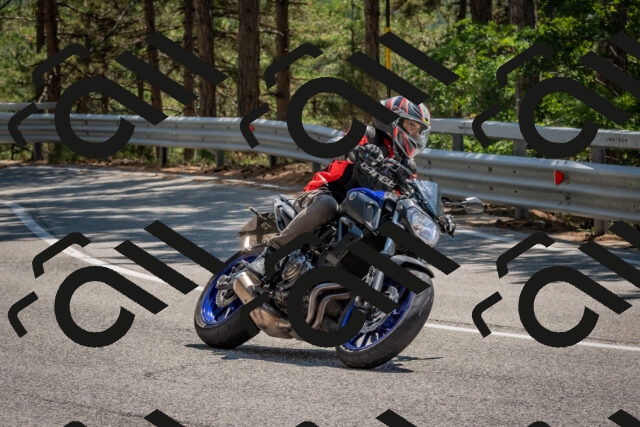 202508091404-DSC_3269_c4_